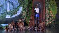Lionking 0078